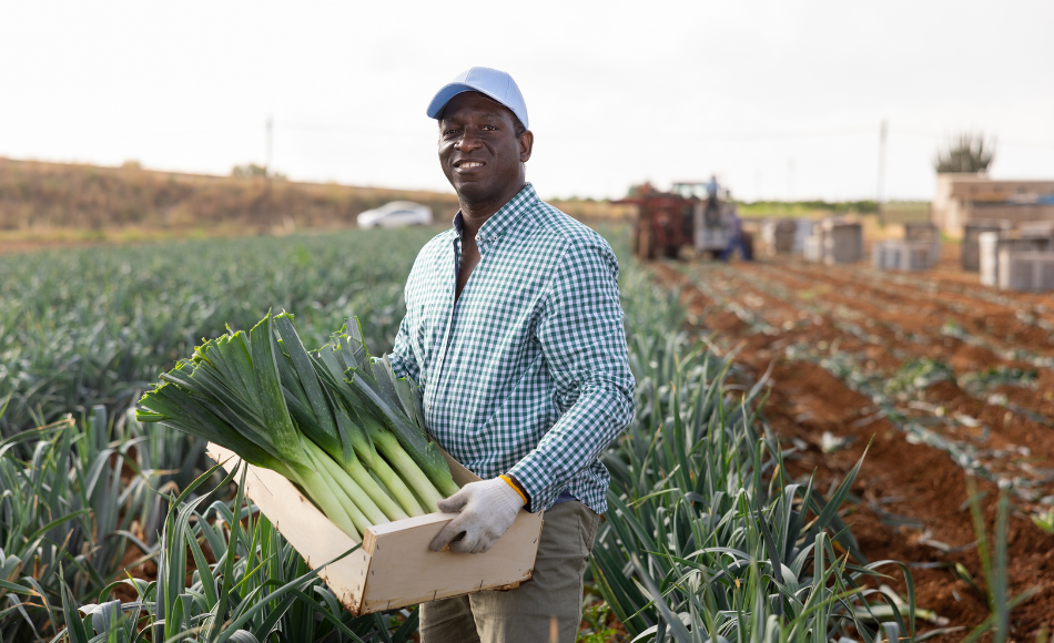 Smart Farming Features